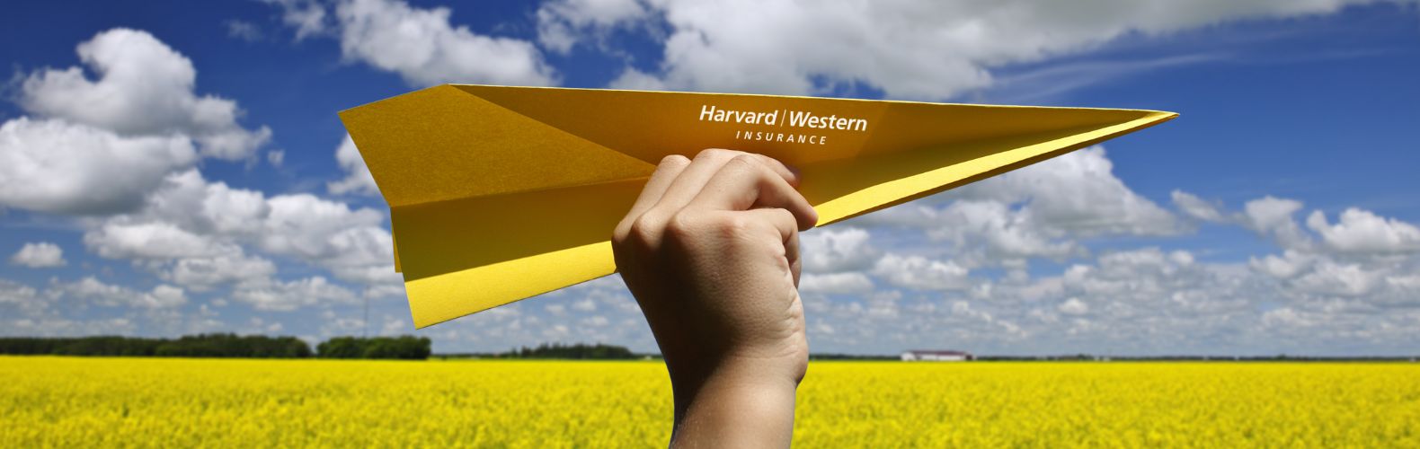 Canola Field with hand holding a yellow paper airplane (1)